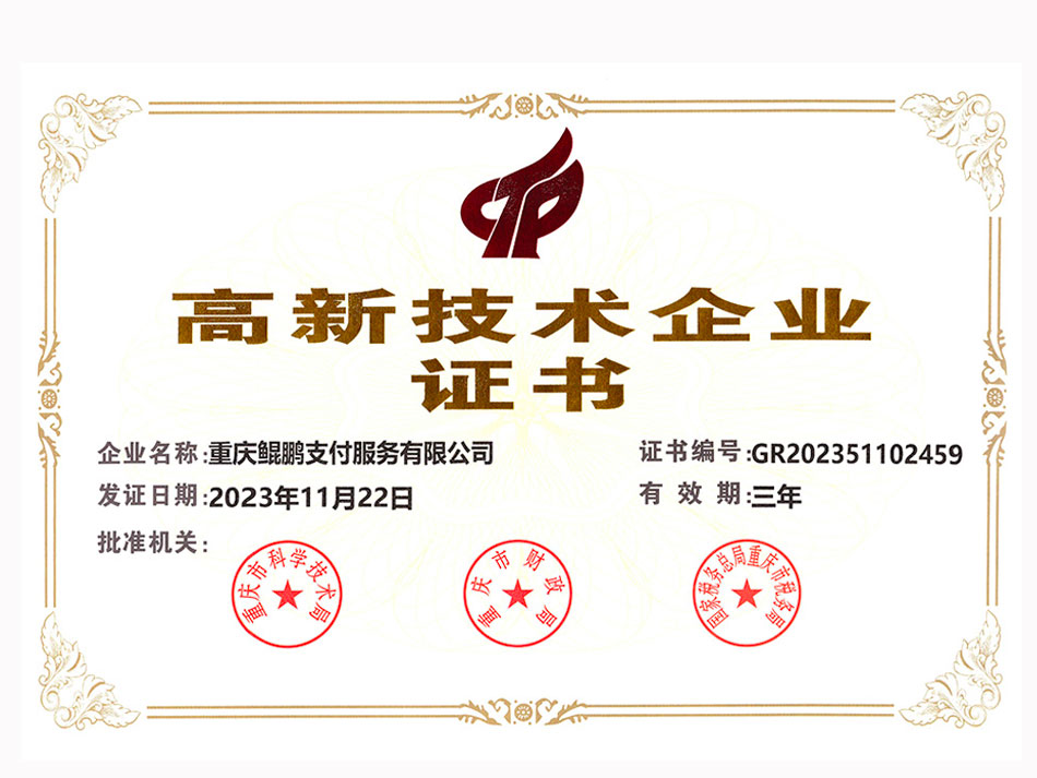 重庆鲲鹏支付服务有限公司新技术企业证书